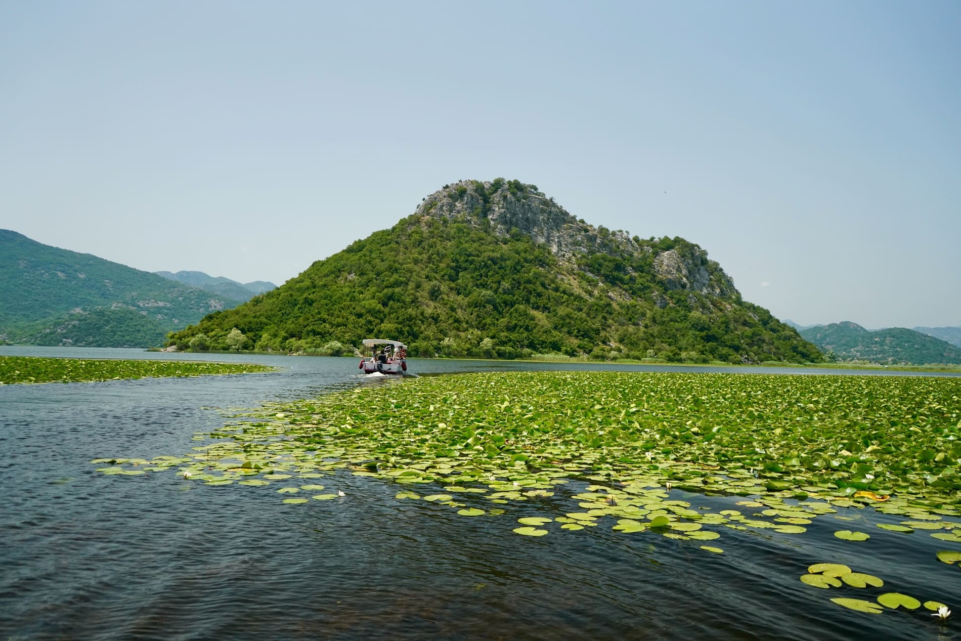 Virpazar